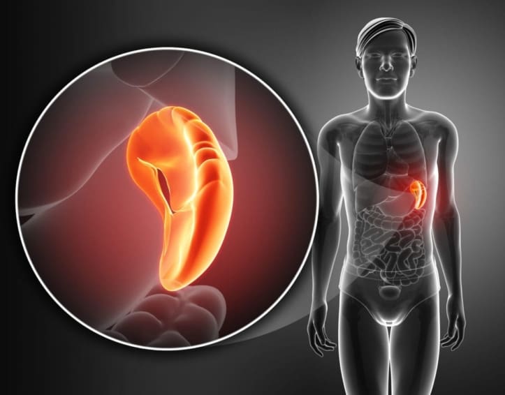10 Cara Meningkatkan Fungsi Limpa Tanpa Obat