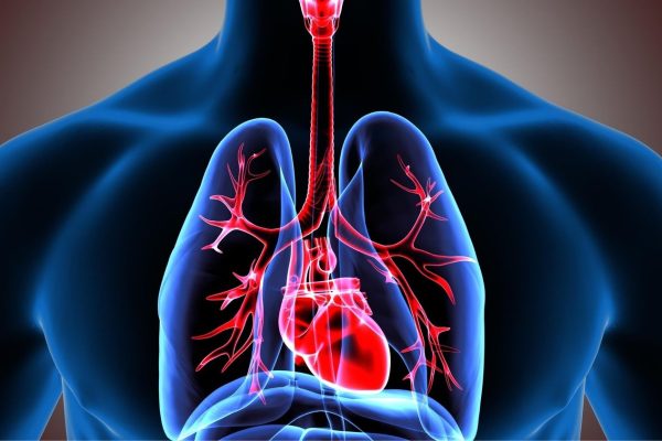 10 Cara Menyokong Fungsi Pernapasan Agar Dada Lebih Sehat 10 Cara Menyokong Fungsi Pernapasan Agar Dada Lebih Sehat