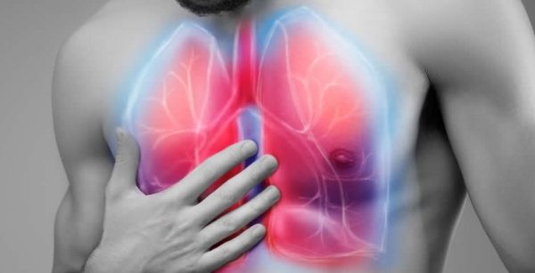 10 Cara Meningkatkan Kapasitas Paru-Paru Secara Alami 10 Cara Meningkatkan Kapasitas Paru-Paru Secara Alami